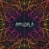 Amygdala - Italiano