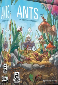 Ants - Italiano