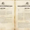 Brancalonia - Macaronicon