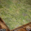 Combat Map - Forest 30x30"
