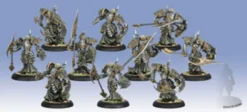 Cryx - Bane Knights Unit (10)