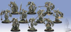 Cryx - Bane Knights Unit (10)