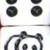 Dado d6 con Animale - Panda