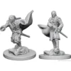 D&D Nolzur's Marvelous Miniatures - Vampiri
