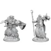 D&D Nolzur's Marvelous Miniatures - Mago Umano Maschio