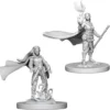 D&D Nolzur's Marvelous Miniatures - Druido Elfo Femmina