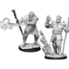 D&D Nolzur's Marvelous Miniatures - Druido Firbolg Maschio