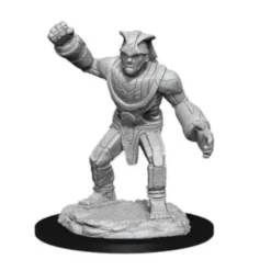 D&D Nolzur's Marvelous Miniatures - Golem di Pietra