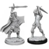 D&D Nolzur's Marvelous Miniatures - Paladino Umano Maschio
