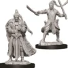 D&D Nolzur's Marvelous Miniatures - Paladino Elfo Maschio