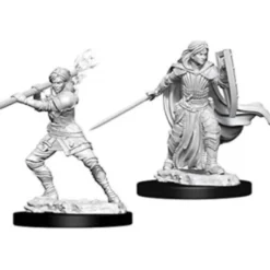 D&D Nolzur's Marvelous Miniatures - Paladino Umano Femmina
