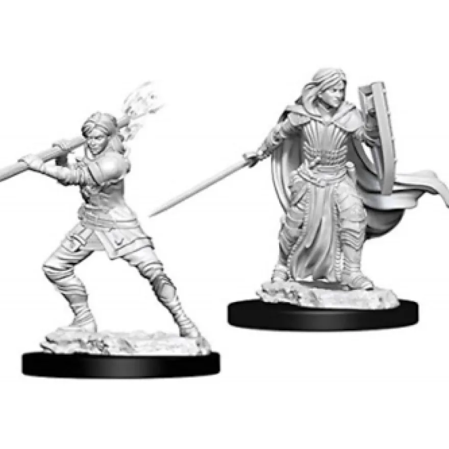 D&D Nolzur's Marvelous Miniatures - Paladino Umano Femmina