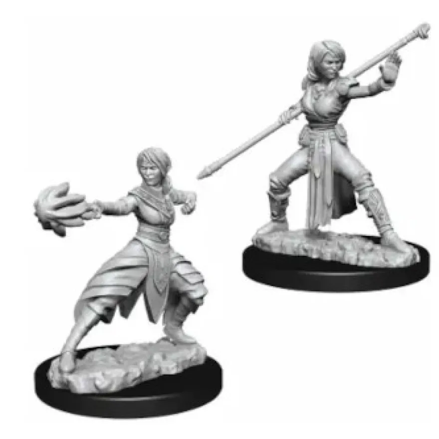 D&D Nolzur's Marvelous Miniatures - Monaco Mezzelfo Femmina
