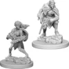 D&D Nolzur's Marvelous Miniatures - Elfo Drow