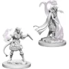 D&D Nolzur's Marvelous Miniatures - Stregone Tiefling Femmina