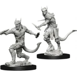 D&D Nolzur's Marvelous Miniatures - Ladro Tiefling Maschio