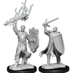 D&D Nolzur's Marvelous Miniatures - Paladino Mezzelfo Maschio