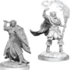 D&D Nolzur's Marvelous Miniatures - Chierico Elfo Maschio