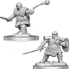 D&D Nolzur's Marvelous Miniatures - Guerriero Nano Femmina