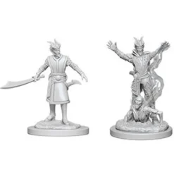 D&D Nolzur's Marvelous Miniatures - Warlock Tiefling Maschio