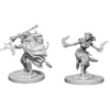 D&D Nolzur's Marvelous Miniatures - Warlock Tiefling Femmina
