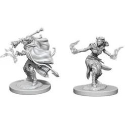 D&D Nolzur's Marvelous Miniatures - Warlock Tiefling Femmina