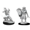 D&D Nolzur's Marvelous Miniatures - Druido Umano Maschio
