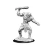 D&D Nolzur's Marvelous Miniatures - Fomorian