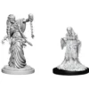 D&D Nolzur's Marvelous Miniatures - Green Hag & Night Hag