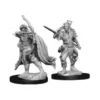D&D Nolzur's Marvelous Miniatures - Ladro Elfo Maschio