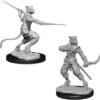 D&D Nolzur's Marvelous Miniatures - Ladro Tabaxi Maschio