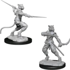 D&D Nolzur's Marvelous Miniatures - Ladro Tabaxi Maschio