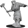 D&D Nolzur's Marvelous Miniatures - Gigante di Fuoco