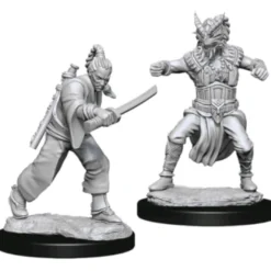 D&D Nolzur's Marvelous Miniatures - Monaco Umano Maschio