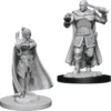 D&D Nolzur's Marvelous Miniatures - Ranger Umano e Stregone Elfo della Luna