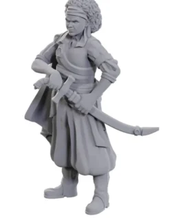 D&D Nolzur's Marvelous Miniatures - Ansalon Human Rogue