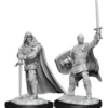 D&D Nolzur's Marvelous Miniatures - Paladino Umano Maschio