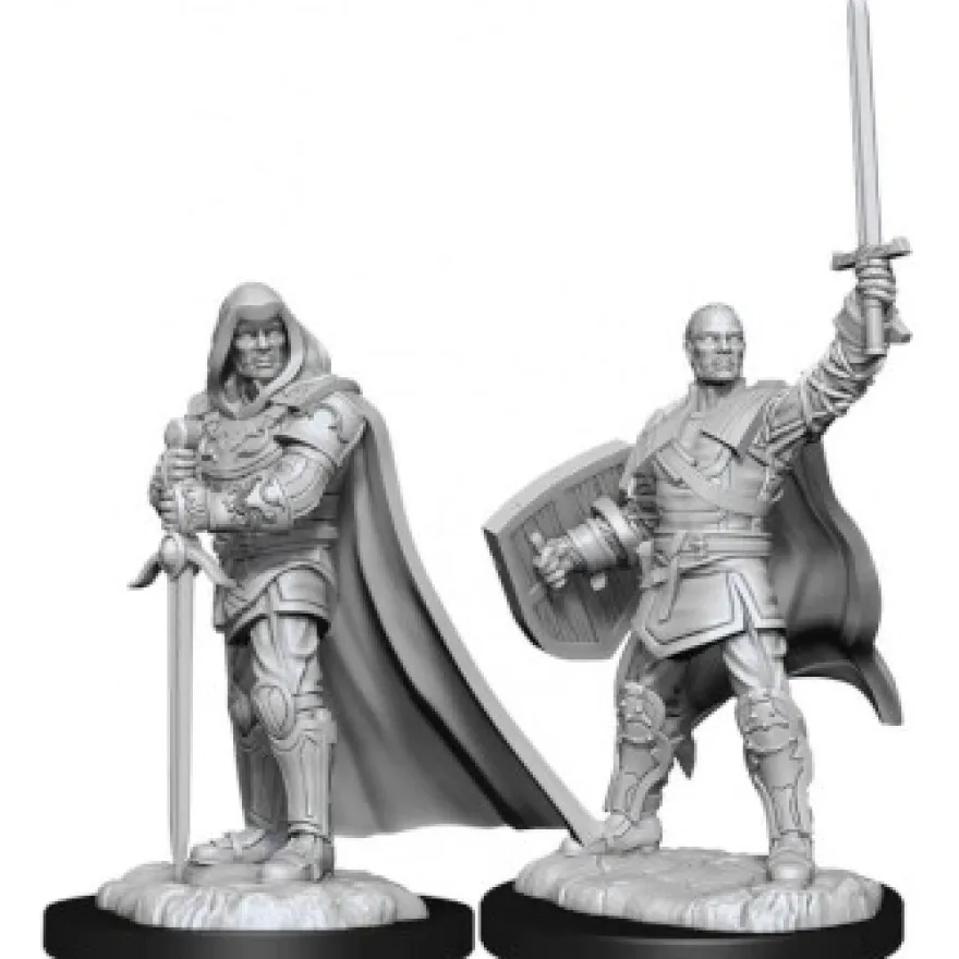 D&D Nolzur's Marvelous Miniatures - Paladino Umano Maschio
