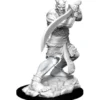 D&D Nolzur's Marvelous Miniatures - Genio: Efreeti