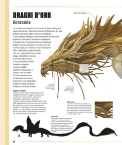 Dungeons & Dragons - Il Libro dei Draghi