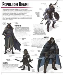 Dungeons & Dragons - La Leggenda di Drizzt - Dizionario Illustrato