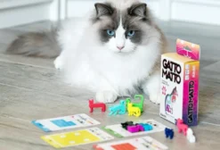 Gatto Matto - Il Rompicapo dei Gatti