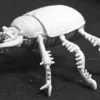 Giant Scarab Beetle