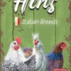 Hens - Italian Breeds