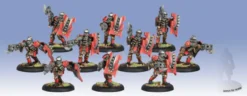 Khador - Assault Kommandos Unit Box (10)