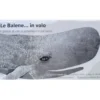 Le Balene... In Volo