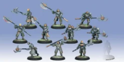 Mercenaries - Steelhead Halberdiers Unit (10)