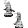 Pathfinder Battles Deep Cuts - Cultist & Devil