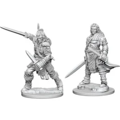 Pathfinder Deep Cuts Miniatures - Guerriero Umano Maschio