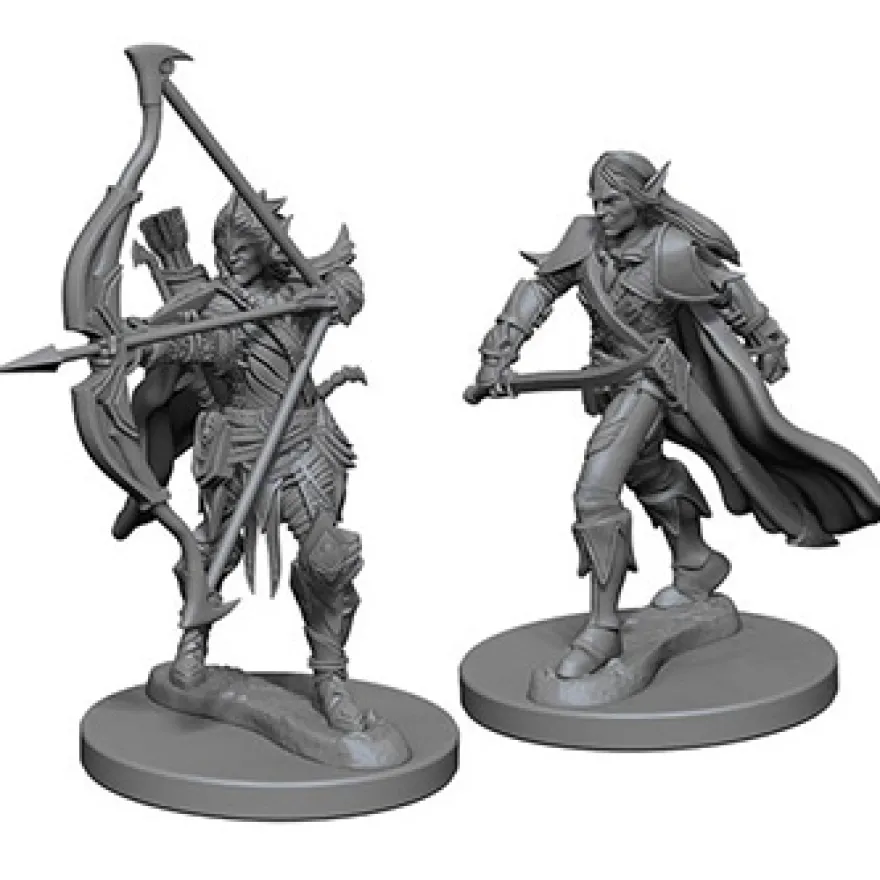 Pathfinder Deep Cuts Miniatures - Guerriero Elfo Maschio